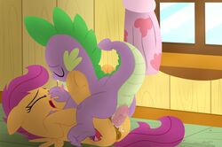 2016 absurd_res anus dragon dtcx97 equine erection female feral friendship_is_magic hi_res male mammal my_little_pony pegasus penetration penis pussy scootaloo_(mlp) sex spike_(mlp) vaginal_penetration vaginal_penetration wings