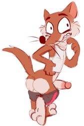 1boy anthro ass clothing disney duke_weaselton erection hi_res male male_only mammal mustelid penis shorts solo the-alfie-incorporated weasel zootopia