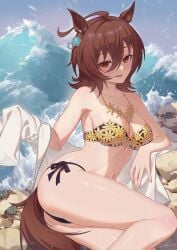agnes tachyon (umamusume) from umamusume by hayate (leaf98k)