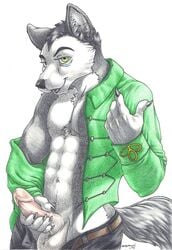 balls canine clothing coat erection jacket jeans looking_at_viewer male male_only mammal muscular pants penis sinistervibe solo traditional_media_(artwork) wolf