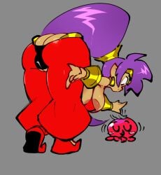 shantae (character) from shantae by jellot