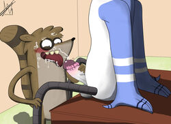 anthro avian balls bird blue_jay camsan_r_s cartoon_network corvid cum cum_drip cum_on_face cumshot dripping ejaculation fellatio furry hairy interspecies male male_only mammal mordecai oral orgasm penis raccoon regular_show rigby sex tongue tongue_out yaoi