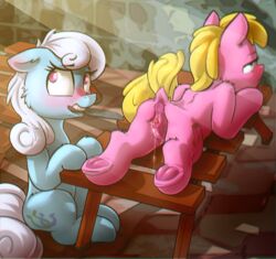 2016 anatomically_correct anatomically_correct_pussy animal_genitalia animal_pussy anus ass blush cherry_berry_(mlp) clitoris cutie_mark duo earth_pony equine equine_pussy eto_ya female feral friendship_is_magic fur hair half-closed_eyes hi_res hooves horse lying mammal my_little_pony pony pussy pussy_juice shoeshine_(mlp) underhoof