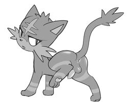 Anus Rule 34 Image