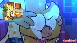 1boy 1girls aggressive_retsuko animated anus ass bikini canaryprimary kissing penis pool public rinta sound tagme tail thigh_sex thighs tsunoda underwater video