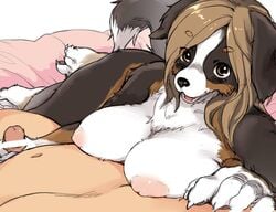 anthro bernese_mountain_dog big_breasts black_fur black_nose blush breast_rest breasts brown_eyes brown_fur brown_hair canine censored claws duo faceless_male female fur furry handjob kemono kikurage long_hair looking_at_viewer lying male mammal multicolored_fur nipples nude on_side open_mouth penis pov straight white_fur