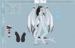 aroc_valus dragon frostwyrm102 knot male model_sheet penis ridges