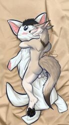 anthro ass balls bed body_pillow canid canine canis dakimakura dakimakura_pillow digital_media_(artwork) fur furniture genitals hi_res looking_at_viewer male mammal nude pillow sex smile solo tail wolf wolfe_decker