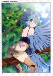 blue_feathers blue_hair booty_shorts brown_eyes butt_crack harpy monster_musume_no_iru_nichijou papi_(monster_musume) ragho_no_erika spaghetti_strap straddling surprised wings