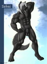 abs animal_genitalia anthro athletic balls barefoot biceps black_fur black_nipples black_nose canine claws fully_sheathed fur green_eyes grey_hair hair long_hair looking_at_viewer male male_only mammal muscular nipples nude pecs penis pose sebas sheath signature solo toe_claws wolf zwolf