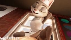 anthro anthro_penetrated cowgirl_position furry judy_hopps pov smaller_female tagme vaginal_penetration video wigfritter zootopia