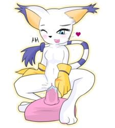 blue_eyes breasts clothing damnlassotool digimon dildo ear_tuft eyelashes featureless_chest feline female fur gatomon gloves heart insert mammal masturbation one_eye_closed pussy riding riding_dildo sex_toy simple_background solo spreading tuft white_background white_fur wink