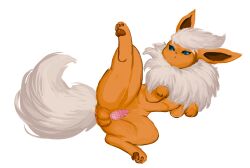 balls cressalias eeveelution feral feral_only flareon generation_1_pokemon genitals hi_res interspecies nintendo penile_spines penis pokemon pokemon_(species) pokephilia presenting presenting_balls presenting_penis spread_legs spreading zoophilia