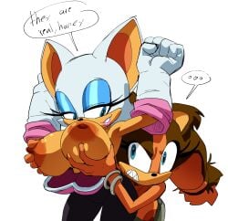 rouge the bat from sonic (series) by coolerinker