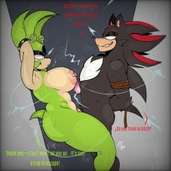 alokrenacido bify big_breasts female male male/female penetration pierced_nipples shadow_the_hedgehog sonic_(series) sonic_the_hedgehog_(series) straight straight_sex surge_the_tenrec tied_up