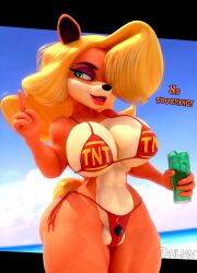 3d 3d_(artwork) anthro bandicoot bikini blonde_hair cameltoe cleavage crash_(series) english_text female green_eyes huge_breasts lipstick smile solo tahlian tawna_bandicoot