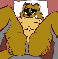 anal anthro bed furry human kounosuke_(morenatsu) male mammal morenatsu nipples overweight penis pillow smile tanuki unknown_artist yaoi