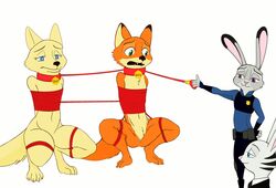 anthro arms_behind_back bondage bonwolf bound canine clothing collar disney domination embarrassed female femdom flat_chest fox frogtied fur hands_behind_back jack_savage judy_hopps lagomorph leash legs_tied malesub mammal multiple_subs navel nick_wilde nude predator/prey rabbit role_reversal rope size_difference skye_(zootopia) small_dom_big_sub submissive zootopia