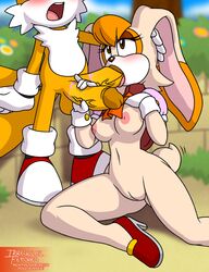 tails from sonic (series) by irregular fetishes