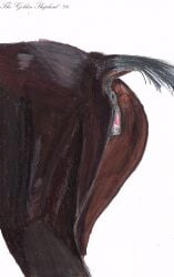 absurd_res animal_genitalia animal_pussy anus ass clitoral_winking clitoris equid equine equine_anus equine_genitalia equine_pussy female feral genitals hi_res horse mammal pussy raised_tail simple_background solo tail thegoldenshepherd traditional_media_(artwork)