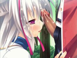 2-g animated fellatio game_cg nico_(zettai_saikyou) oral softhouse-seal tagme zettai_saikyou_oppai_sensou!!