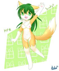 breasts crystaltail feline female green_hair kemono mammal nude pussy sundyz young