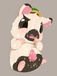 balls blush boss_(hamtaro) bukkake cum cum_drip cum_on_face dripping hamster hamtaro_(series) male male_only mammal nekokagebevil open_mouth penis rodent simple_background slightly_chubby solo