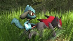 2016 3d abra_the_kadabra all_fours animal_genitalia animal_penis blue_fur canine_penis duo erection female feral fur grass grey_fur highres looking_back male nintendo outdoors penis pokemon pokemon_(species) pussy riolu source_filmmaker standing straight zoroark