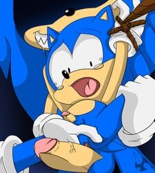 amatsucat anus balls blue_fur bound classic_sonic furry gaping_anus gay hedgehog mammal penis precum rape sonic_(series) sonic_the_hedgehog tears