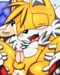 amatsucat anal anus balls blue_fur cum cum_in_ass furry hedgehog male_only mammal penis sonic_(series) sonic_the_hedgehog tails