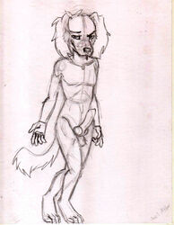 anthro bluedmoka canine erection knot male male_only mammal nude penis saluki