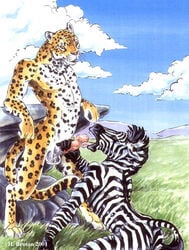 2001 ambiguous_gender anthro ass balls cheetah equine feline fellatio heather_bruton male male/ambiguous mammal nude open_mouth oral penis sex spots stripes tongue zebra