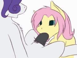 2016 ambiguous_gender animated daf duo earth_pony equine fluttershy_(mlp) friendship_is_magic hair horse male male/ambiguous mammal my_little_pony open_mouth oral penis pink_hair pony purple_hair rarity_(mlp) sex simple_background straight_hair white_background