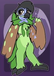 decidueye from nintendo by otterjunk