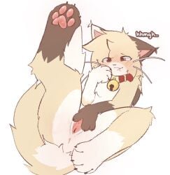 aarelthings anthro anus bell bell_collar bite biting_lip biting_own_lip blush bodily_fluids butt caramel_(aarelthings) collar digital_media_(artwork) feet female fur genital_fluids genitals hair hi_res looking_pleasured lying masturbation multicolored_body multicolored_fur nude on_back pawpads paws presenting presenting_vulva self_bite simple_background solo spread_legs spreading tail tan_body tan_fur vaginal_fluids vulva whiskers white_background