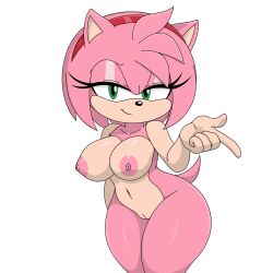 amy rose from sega by the-sonic-x