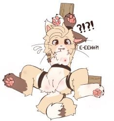 aarelthings anthro arms_tied bdsm bite_mark bite_mark_on_breast blush bodily_fluids bondage bound breasts bruised caramel_(aarelthings) digital_media_(artwork) domestic_cat feet felid feline felis female fur genitals hair hi_res innie_vulva legs_tied long_whiskers mammal multicolored_body multicolored_fur nipples nude pawpads paws presenting presenting_vulva questionable_consent restraints simple_background solo spread_legs spreading tail tan_body tan_fur tears teary_eyes text vulva whiskers white_background