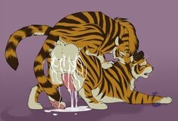 2016 4_toes balls balls_touching black_fur black_stripes cum cum_on_balls feline feral feral_on_feral fur kato_(tiger) male mammal stripes tiger toes toradoshi yaoi