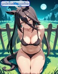 1girls 2026 ai_assisted ai_generated anime black_panties boobs bra breasts bush bust earrings hi_res high_quality high_resolution highres long_hair manhattan_cafe_(umamusume) night night_sky on_grass outdoors panties patreon patreon_username sky skypassion smile solo stable_diffusion tits umamusume umamusume_pretty_derby underwear watermark