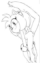amy rose from sega by randomguy999