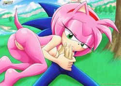 amy rose from sonic (series) by bbmbbf