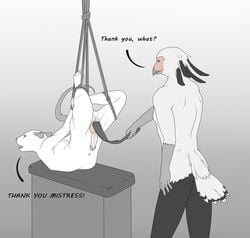 9x9 anthro avian ballbusting balls bird bondage bound bruised cock_and_ball_torture erection glans gradient_background humanoid_penis male male_only mammal mouse nude paddle pain penis rodent roleplay secretary_bird simple_background standing suspension tears