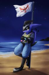 beach clothing flag greninja greninjohns nintendo penis pokemon pokemon_(species) pokemon_go seaside team valor video_games