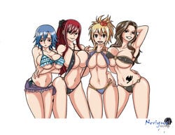 4girls arm_around_waist bikini black_eyes blonde_hair blue_hair breasts brown_eyes brown_hair cana_alberona cleavage covered_nipples cropped_legs erza_scarlet fairy_tail female female_only flower frilled_bikini frown hair_flower hair_ornament human juvia_lockser large_breasts long_hair looking_at_viewer lucy_heartfilia multiple_girls navel noriyuki83 open_mouth ponytail raised_arm red_hair short_hair side-tie_bikini sidelocks simple_background skirt smile tattoo tied_hair underboob