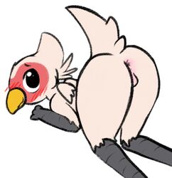 ass avian balls bird blush drgons martin_(dosent)