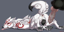 amaterasu from okami by truegrave9