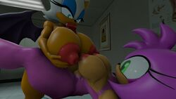 2girls 3d 3d_model amy_rose armpits big_breasts big_penis bimbo breasts darksorm dickgirl erect_nipples erection fellatio futa_on_futa futanari huge_breasts intersex mobian mobian_(species) mobian_bat nipples nude oral paizuri penis rouge_the_bat sega sex sonic_(series) sonic_adventure_2 sonic_the_hedgehog_(series)