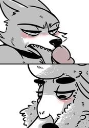 al_(weaver) anthro blush canine caprine collar disney erection fan_character fellatio furry gay inkyfrog licking male male_only mammal oral pack_street penis remmy_cormo sex sheep tongue tongue_out wolf wool yaoi zootopia