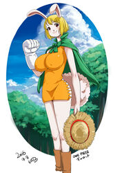 carrot (one piece) from one piece