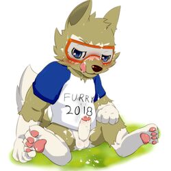 1boy 2016 anthro balls black_nose blue_eyes blush brown_fur canine clothed clothing cum english_text erection eyewear fur goggles hair looking_at_viewer male male_only mammal mascot multicolored_fur okunawa open_mouth penis shirt simple_background soccer solo sport spread_legs spreading text tongue tongue_out white_background wolf young zabivaka